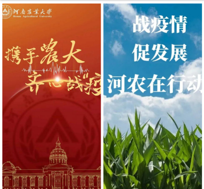 1584813723325082262.jpg 新葡京娱乐城