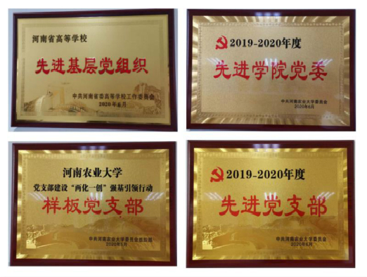 1594362487155047980.jpg 新葡京娱乐城